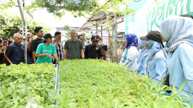 Bacapres Ganjar Pranowo mengunjungi taman agro eduwisata