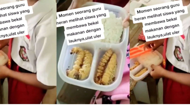 Anak SD Ini Bawa Bekal dengan Lauk Ulat