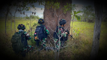 VIVA Militer: Pasukan Yonif 726 Tamalatea saat lakukan ambush penyusup NKRI.