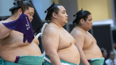 Ilustrasi sumo