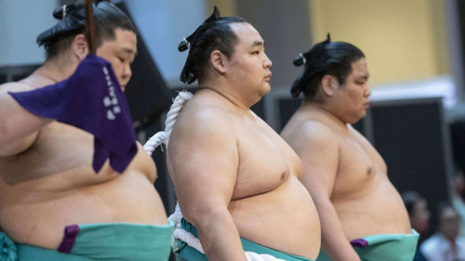 Ilustrasi sumo