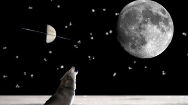 Ilustrasi Bulan.