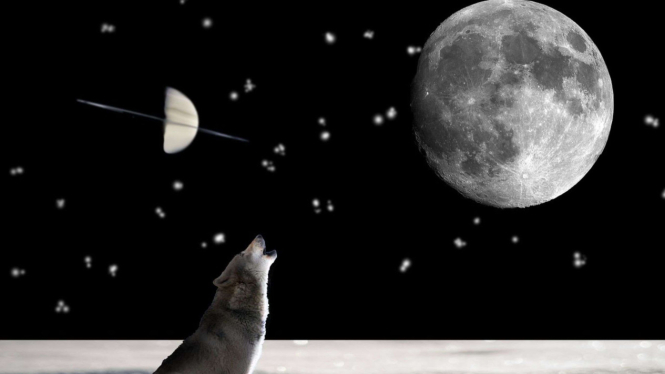 Ilustrasi Bulan.