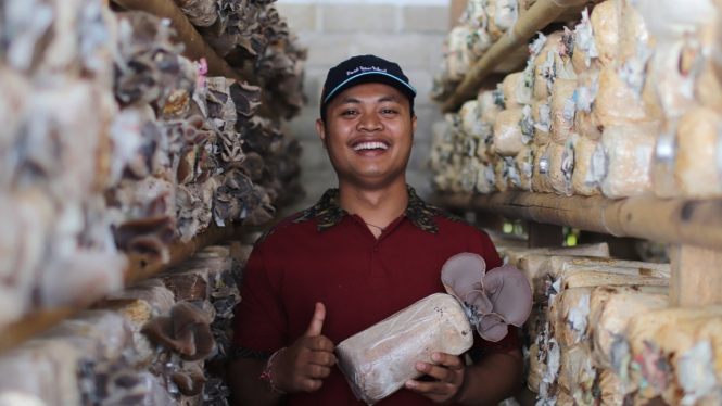  Petani jamur tiram I Gede Artha Sudiarsa  