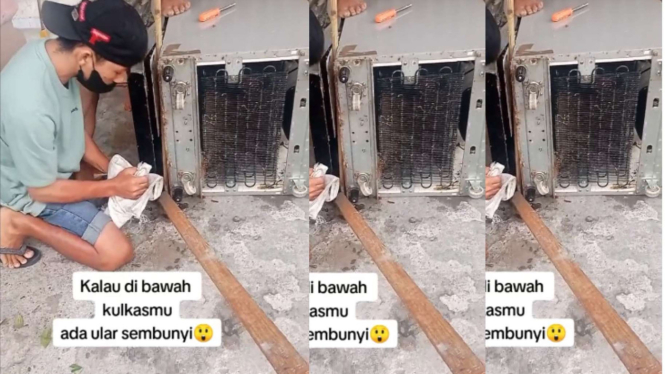 Bapak Bapak Tangkap Ular yang Ada di Dalam Kulkas