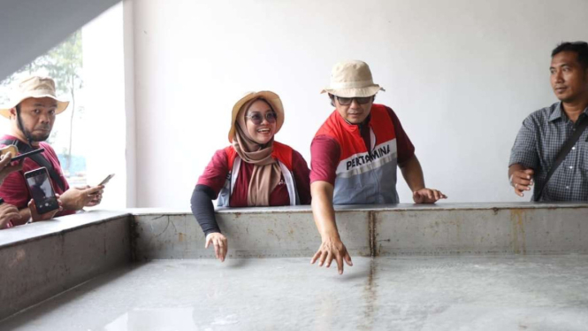 Inovasi Salt Centre Binaan PHE WMO Untuk Produktivitas Garam