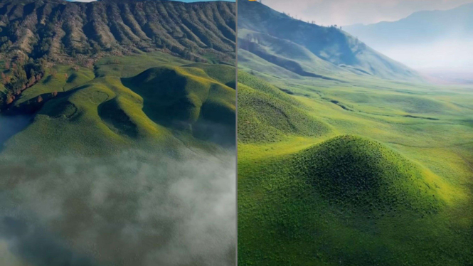 Wajah baru savana Gunung Bromo