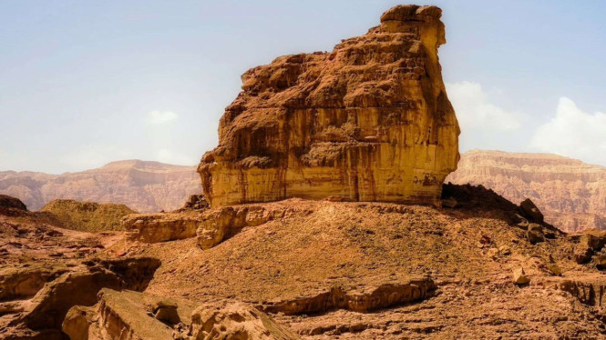Timna Park.