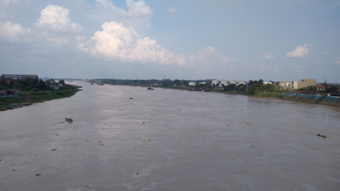 Kondisi Sungai Batanghari, Jambi