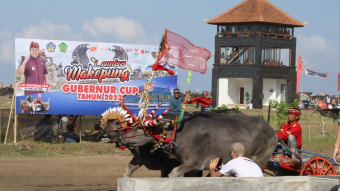 Tradisi Makepung di Bali