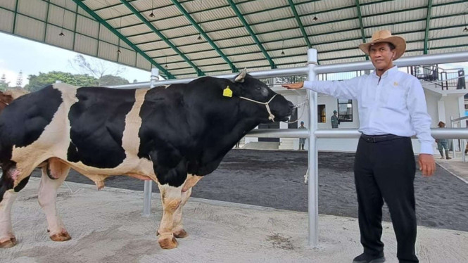 Mentan Amran Pacu Produktivitas Semen Beku untuk Tingkatkan Populasi Ternak