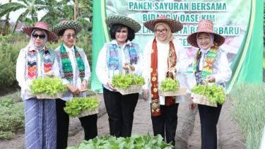 Bidang V OASE KIM Panen Sayur Organik dan Bimtek Urban Farming