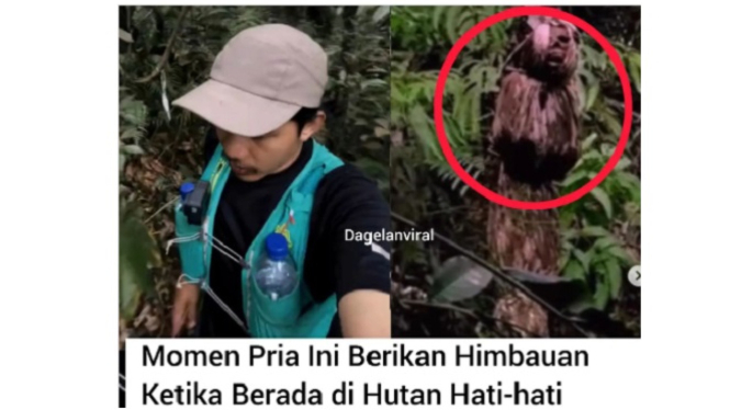 Pendaki menghimbau di hutan