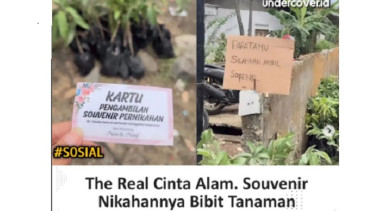 Pasangan pengantin berikan suvenir bibit tanaman