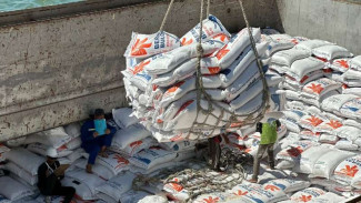 Jokowi Ensures Rice Reserve is Controlled to Stabilize Prices