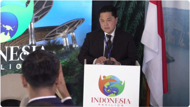 Menko Marves Ad Interim, Erick Thohir