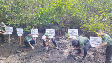 Program BUMN Hijaukan Indonesia, Perum Bulog Tanam 1.000 Bibit Bakau di Bali