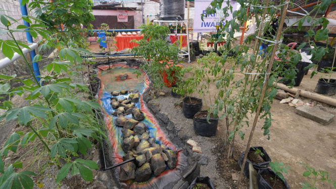 Warga Tuminting&BRI Ubah Lahan Timbunan Sampah Jadi Lahan Urban Farming BRInita