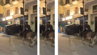 Viral Warga Panik Gegara Pria Tunggangi Banteng Tengah Malam