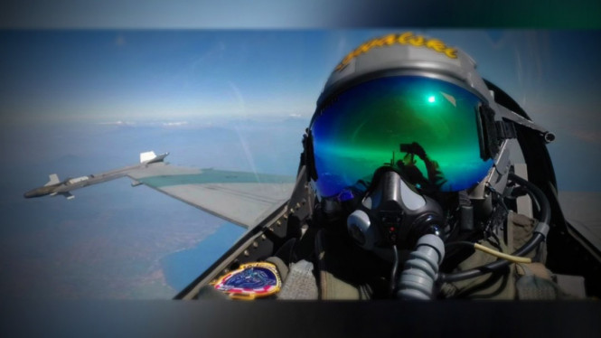 VIVA Militer:  Kapten Pnb Chandra Ari Wijaya alias Kapten Kowalski