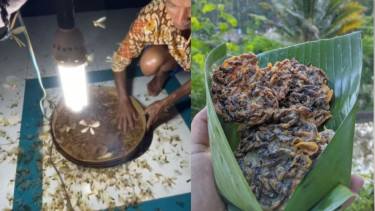 Viral Warga Wonogiri Olah Laron Jadi Peyek
