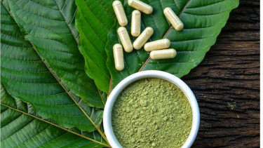 Tanaman Kratom.