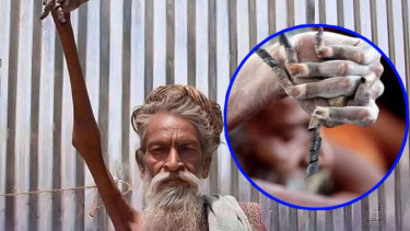 Petapa asal India