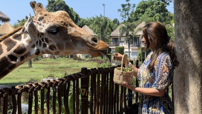 Taman Safari Bali.