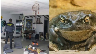 Jus Katak