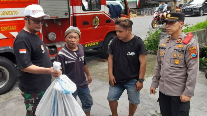 Petugas saat mengevakuasi sarang tawon vespa dan kondisi kambing yang tewas