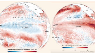 Ilmuwan PBB Ungkap El Nino Mendidih Bakal Bertahan sampai 2027, Suhu Panas Lampaui Batas