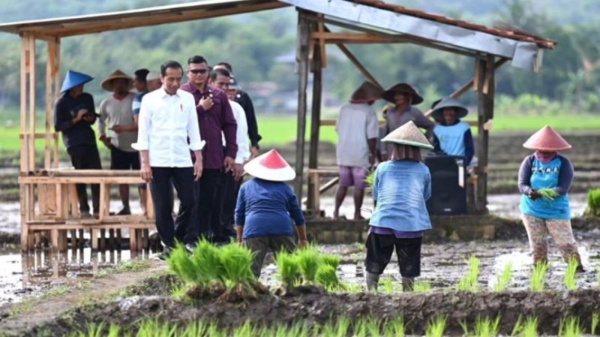 Presiden RI Jokowi di Kalibagor, Banyumas, Jawa Tengah.