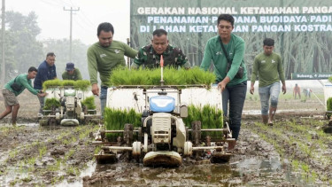 VIVA Militer: Pangkostrad Letjen TNI Muhammad Saleh Mustafa tanam padi di Subang