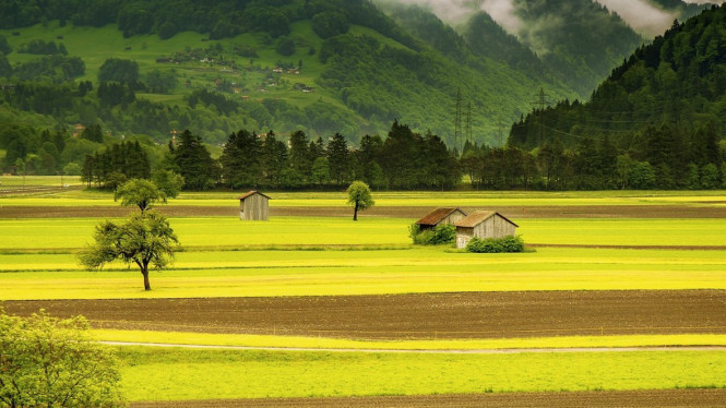 Ilustrasi pertanian dari Pixabay