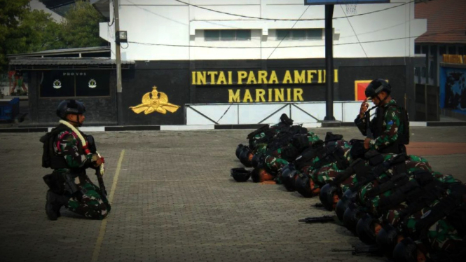 VIVA Militer: Pasukan Batalyon Taifib 2 Marinir penumpas 5 pentolan OPM.