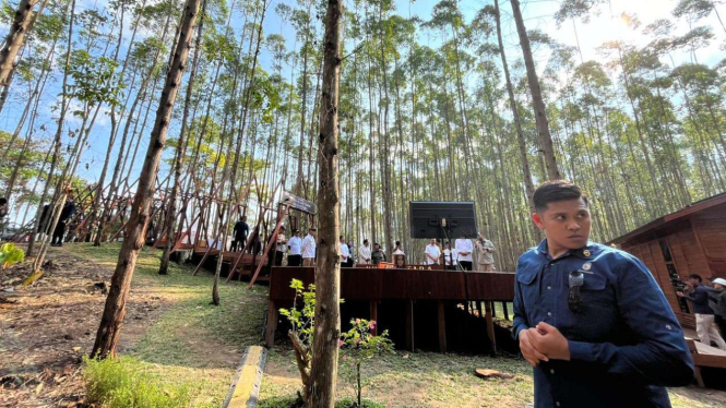 Konsep Bangun Hutan Hujan Tropis di IKN