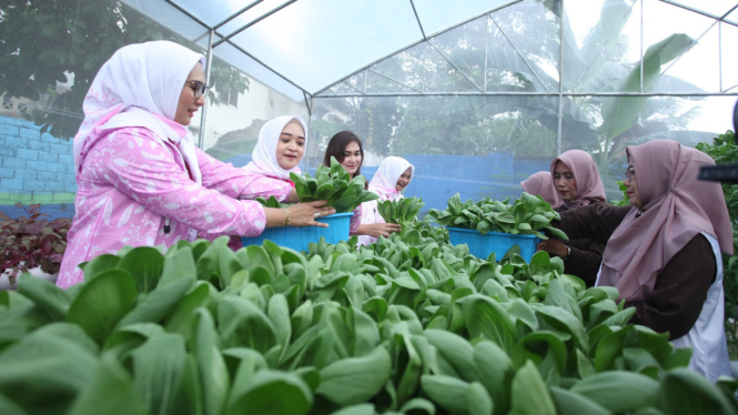 Program BRInita, bagian dari tanggung jawab sosial dan lingkungan dari BRI