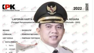 Profil Erik Adtrada Ritonga, Bupati Labuhanbatu yang Kena OTT KPK