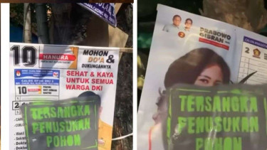 Baliho penusukan pohon