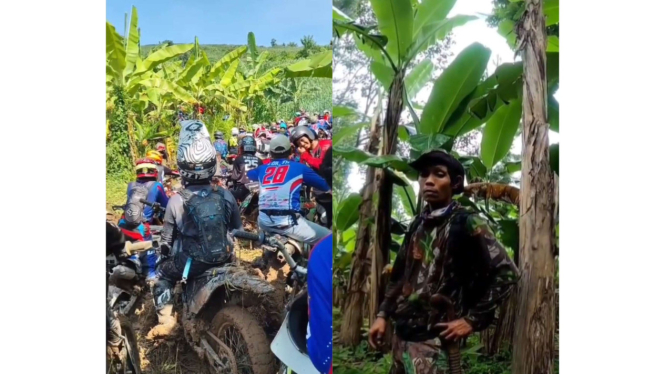 Viral Kebun Pisang Rusak Parah, Sang Pemilik Marah Gegara Acara Motor Trail