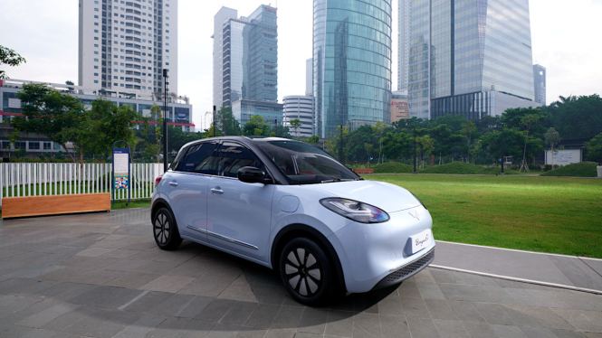Wuling BinguoEV Long Range 333 KM AC