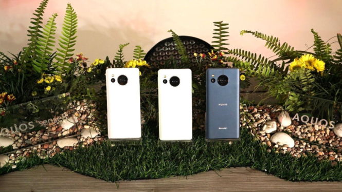Sharp Aquos Sense8.