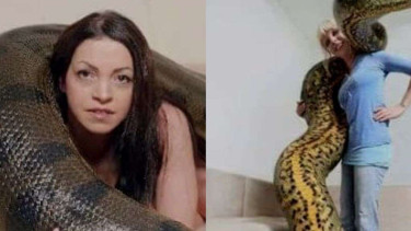 Medusa, Ular Anaconda terbesar di dunia.