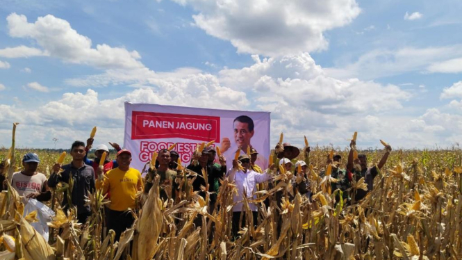 Food Estate Gunung Mas Panen Jagung (dok: kementan) 