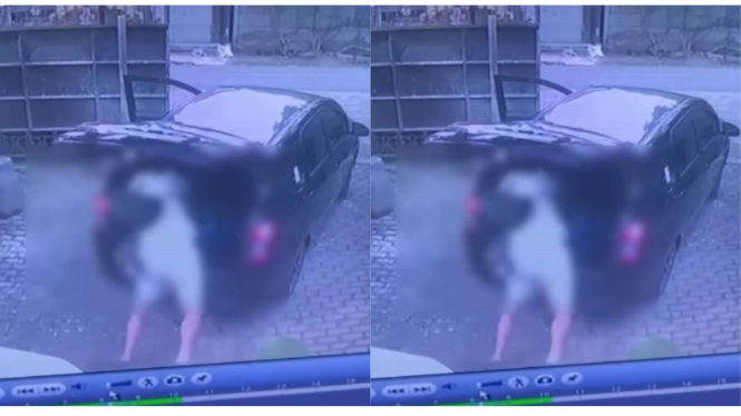 Viral bule di Bali pukul pehawai villa sampai gigi copot