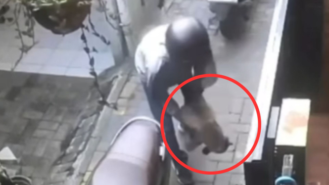 Keji, Maling di Tangerang Paksa Kucing Curian Masuk Bagasi Motor