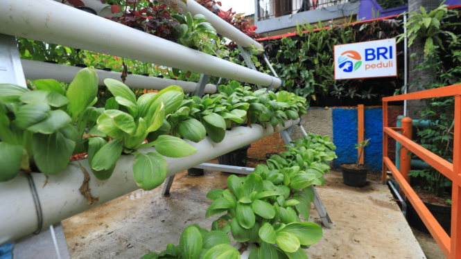 Kampung Palm Eco Green Village
