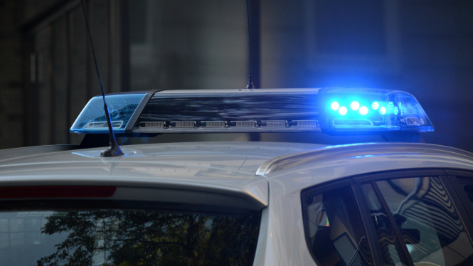 Illustration of Police