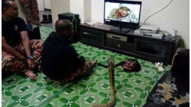 Jejak Kehidupan Masa Lalu Muncul