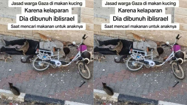 Jenazah Warga Gaza Dimakan Kucing